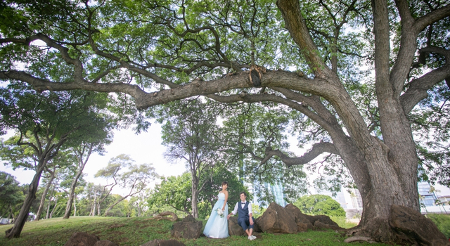ビーチ＆パークフォトウェディング