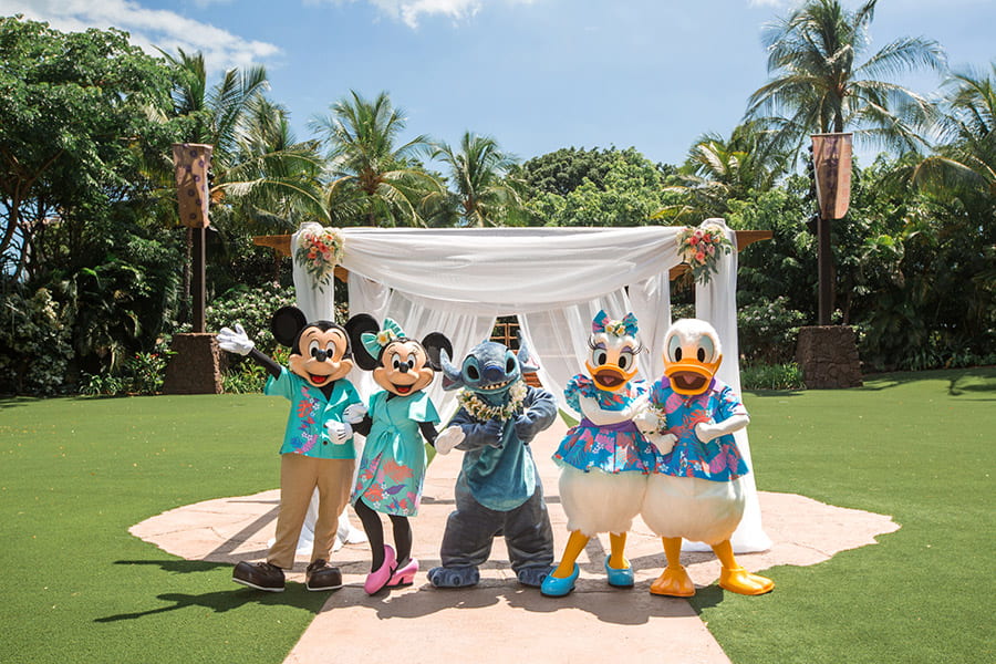 憧れのディズニーキャラクターたち