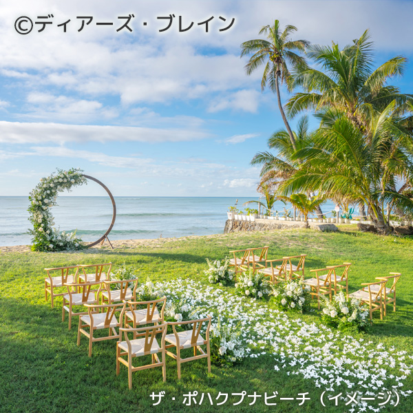 ザ・ポハクプナビーチ