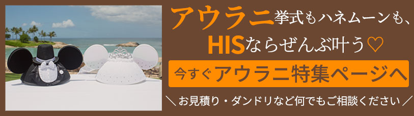 基本情報からおすすめの撮影ロケーション、よくあるご質問までHISではハワイのディズニー・フェアリーテール・ウェディング・アウラニのウェディング情報をわかりやすくご紹介！旅行会社ならではの海外ネットワークで旅行もフォトウェディングもまとめて相談＆手配が可能です！