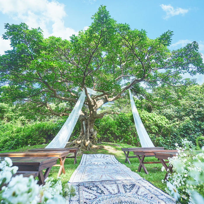 ザ・ビーチテラス ホテルアオ石垣